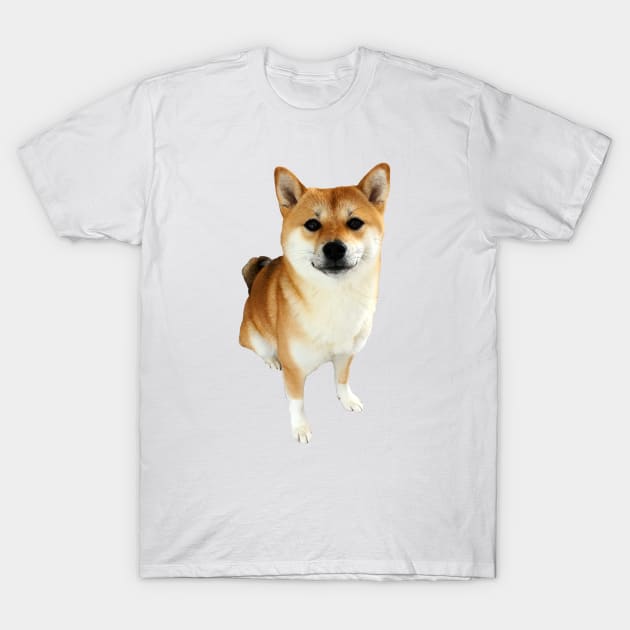 Lilly the Shiba Inu Sitting Down T-Shirt by shibalilly